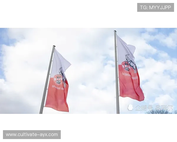 科隆俱乐部新赛季战略布局与转会动态全面解析及青训体系升级前景展望