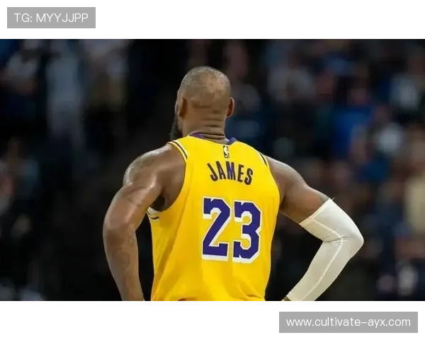 詹姆斯领衔湖人逆转取胜西部格局再起波澜季后赛争夺进入白热化阶段