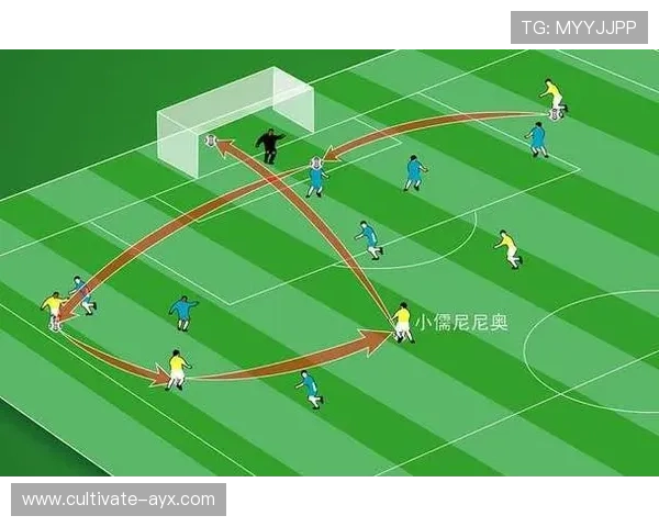 哪里可以实时查看足球比分和赛况更新？